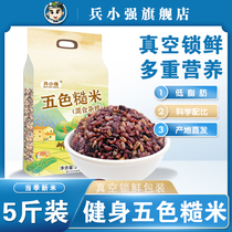Five-color brown rice 5 catties low-fat coarse grain brown rice black rice staple food new seven-color five-grain cereals pregnant women three-color fitness