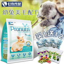 DR Bunny Rabbit doctor Beauty Hair baby rabbit food rabbit feed rabbit food staple food staple food 900g