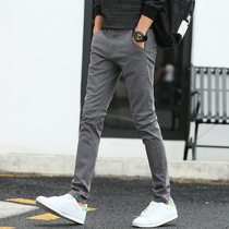 Mens casual pants summer thin Korean version of all-match stretch slim-fit trend straight small feet business cotton long pants