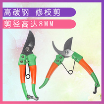 Pruning pliers Pruning scissors Pruning scissors Gardening scissors Flower scissors Rose seedling pruning scissors