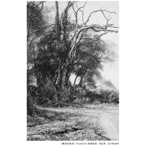 Liu Hongjuns Behind the Prosperity paper new pen drawing