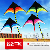 New 2021 Weifang new prairie umbrella cloth triangle large adult long tail breeze Kevlar kite line wheel