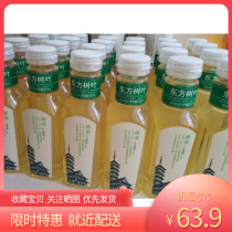 Nongfu Shanquan Oriental Leaf Green Tea 500ml*15 bottles sugar-free tea drinks FCL from 2 boxes