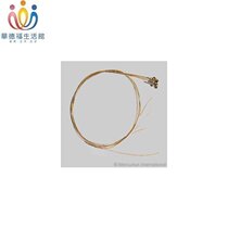 Waldorf Life Pavilion Auris Lyle Harp Strings (for LDD)LSS-300 instrument accessories Laiya