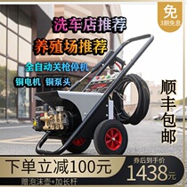 Black cat high-pressure cleaning machine high-power household 220v commercial 380v car washing machine water gun strong pressure brush car pump
