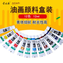 Montmart 12 color oil painting pigment set digital oil painting additive tool drawing material box