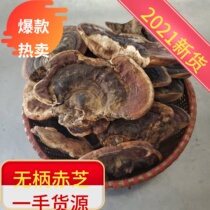 Without Shank Lingzhi Red Cheese Wild Without Shank Red Cheese A Catty Tree Tongue Pure Natural 500g Whole Branches of Powder Slices