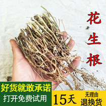 Farmhouse peanut root dry peanut root peanut root stem self-produced peanut stem root Peanut tree peanut root peanut root a pound