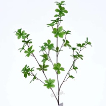 Single-branch simulation hanging bell leaf multilobe leaf Japanese seven starred leaves decorated with green-planted green leaves flower-flower branches plastic fake leaves
