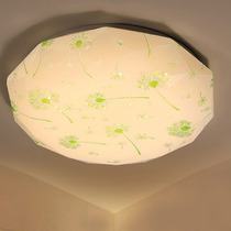 LED ceiling lamp Diamond dandelion balcony aisle corridor bedroom lamp living room lamp kitchen and bathroom lamp modern and simple