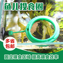 Mori fish tank feeding ring fish feeding circle feeding circle aquarium box floating feed feeding ring fish with suction cup