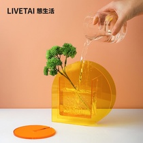 State Life INS Nordic acrylic geometric transparent vase home model room creative flower desktop ornaments