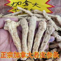 Authentic American Ginseng Canadas Old Article Citi Ginseng Segment Taste of the Delicious Tonic and Nourishing Foreign Exhibi 500 gr Soft Branch