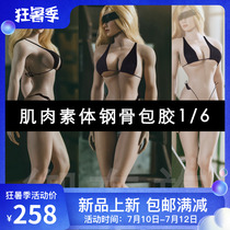 1 6 PHICEN TBLeague Steel Bone Plastic Coated Female Prime body S18A 19B 20A 21B22A 23B