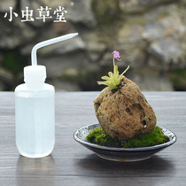 Water bottle with sharp mouth squeezed 250ml gardening household multi-meaty water bottle bottle sprinkling water bottle watering flower small Cordyceps grass Hall