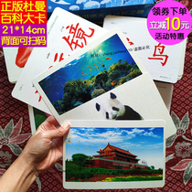 Duman early education encyclopedia Flash card Qitian right brain memory development Bilingual graphic encyclopedia Big card with musical instrument architecture etc