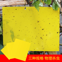 Insecticide patch small black fly special yellow sticky insect board household double-sided insect trap board insect-proof board indoor small flying insect insecticide