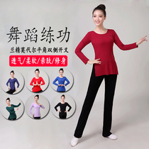 New dance practice suit female adult modern dance long sleeve slim-fit top split body classical dance national practice