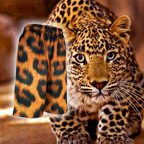 BAO WEN basketball pants fitness sports pants Xiangbei basketball shorts mens sports shorts training warm-up slam dunk