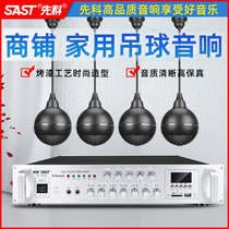 Shchenko D8 Pendant Ball Sound Suit Shop Speaker Horn Indoor Restaurant Suspended Suction Top Ceiling Mounted Bluetooth