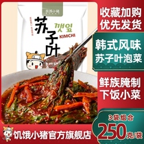 Hungry piggy Korean style Suzhou cotyledon kimchi 250g * 3 Yanbian Su cotyledon pickled Pickles