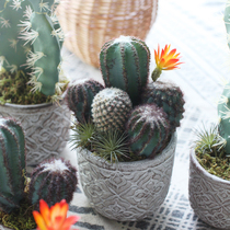  Sicily simulation plant cactus desert elf bonsai Nordic home office potted desktop ornaments