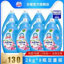 White cat phosphorus-free laundry liquid 2kg*8 bottles of the whole box batch quick rinsing Full effect clean promotional combination package sterilization