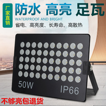 led floodlight 50W outdoor light waterproof advertising spotlight outdoor super bright courtyard plant lighting led Factory Light