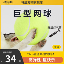 Dogs toy balls resistant to grinders teddy puppies puppies Labrador Golden Fur Large Dogs Pet Antithets