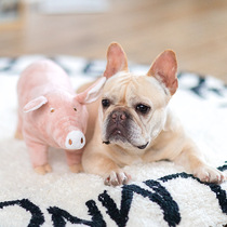 Pink piglets accompany plush toys cat dog sleeping partner four-legged small and medium-sized pet fight Teddy