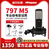 Beijing 797 M5 professional recording studio capacitive microphone microphone external sound card suit anchor network K song