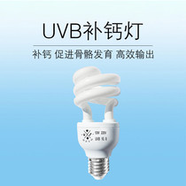 Reptile UV UVB calcium supplement lamp 10 0 crawling pet tortoise feeding box lizard calcium supplement 5 0 tortoise sun back light