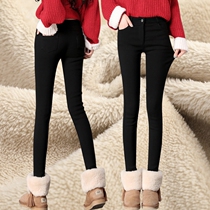 Japan gush thickened with underpants high waist collection of slim lamb suede warm elastic magic small leggings female outwear