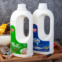 Bright Large Barrel Yogurt Original Taste Bestseller 1 1kgx2 Barrel Flavor Fermented Milk Original Taste Barrel Yogurt Net Red Milk