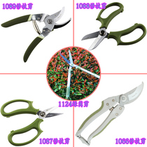 Pruning shears floral scissors Japanese imported steel gardening scissors hedge shears flower shop floral arrangement scissors