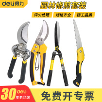 Daili Fruit tree pruning scissors horticultural pruning garden shears labor saving flower scissors trimming branches scissors