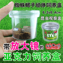 Insect observation box with magnifying glass pet acrylic feeding box box box jars Spider scorpion larvae