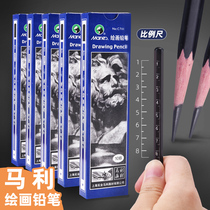 Marley Sketch Pencil Charcoal 7401 Sketch Painting Art Painting Soft and Hard Charcoal for Art Students 2 b4b6b14b Drawing Pencils Beginners Writing Exam Professional 2 Pencils