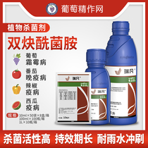 Syngenta Darefan bisynocyramine grape Taro pepper late early blight downy mildew pesticide fungicide