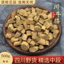  Sichuan Ox knee Chinese herbal medicine 500g Sichuan ox knee wild Chinese herbal medicine Sichuan Sichuan ox Xi turn sweet ox knee 500g