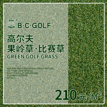 Lady Gore Artificial Green Turf Lawn Silk Emulation Turf Encrypted Sports Shortgrass