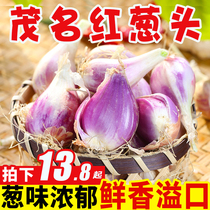 Pure fragrant fruit Guangdong onion in the season Farm self-growing green onion direct sales fresh red onion 5kg whole box