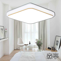 LED ceiling light Super bright Living room light Aisle Corridor Bedroom square remote control study Dining room balcony LED lamps