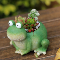  Hengjiate creative zakka cute cartoon Miaomiao frog succulents flower pot micro landscape pot decoration collocation