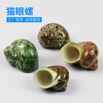 Factory price direct selling resident crab replaced shell sea shell green cat eye screw cylinder aquarium decoration