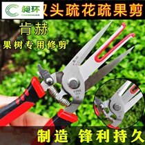 Fruit tree and vegetable scissors fruit picking scissors agricultural sparse flower scissors double-cut stainless steel calcined apple tree