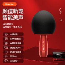 Sansui landscape 2021 New k song treasure small dome microphone microphone wireless K song audio one singing bar National K song wireless home singing artifact Bluetooth mobile phone TV live