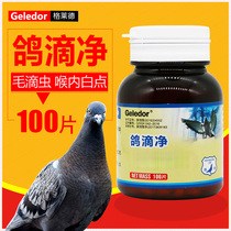 Glad Pigeon medicine Pigeon droplet tablets remove Trichomonas oral white spots macular mucus Dyspnea Water stool pigeon medicine