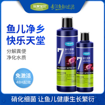 Nitrifying bacteria Fish tank nitrifying bacteria Aqua living nitrifying bacteria Liquid high concentration nitrifying bacteria species direct survival