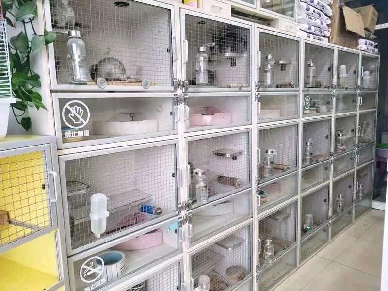 Changzhou Totoro House, Wuxi Town, Changzhou, Jiangsu Province, live foster care of chinchillas, monthly discount